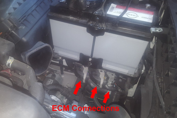 R53 ECM.jpg